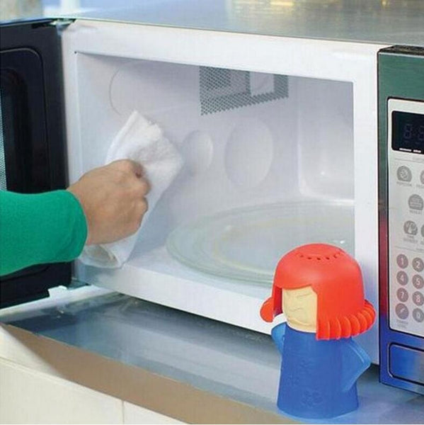 Microwave Steam Cleaner